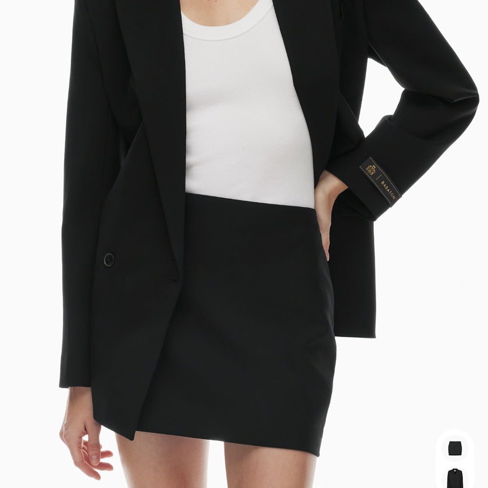 Aritzia Babaton Destine Skirt